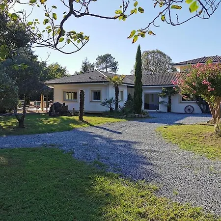 Dans Parc Arbore Villa